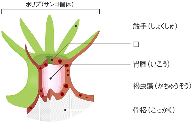 TS̒fʐ}